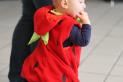 spitzenkinderfasching_8_20140325_1217980993