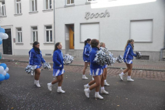 rosenmontag_20131002_1284134799