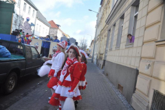 rosenmontag_20131002_1418823949