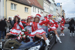 rosenmontag_20131002_1459028975