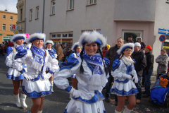 rosenmontag_20131002_1526942572