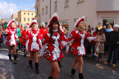 rosenmontag_20131002_1835902985