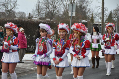 karnevalsumzug_groebzig_20131002_1838144513